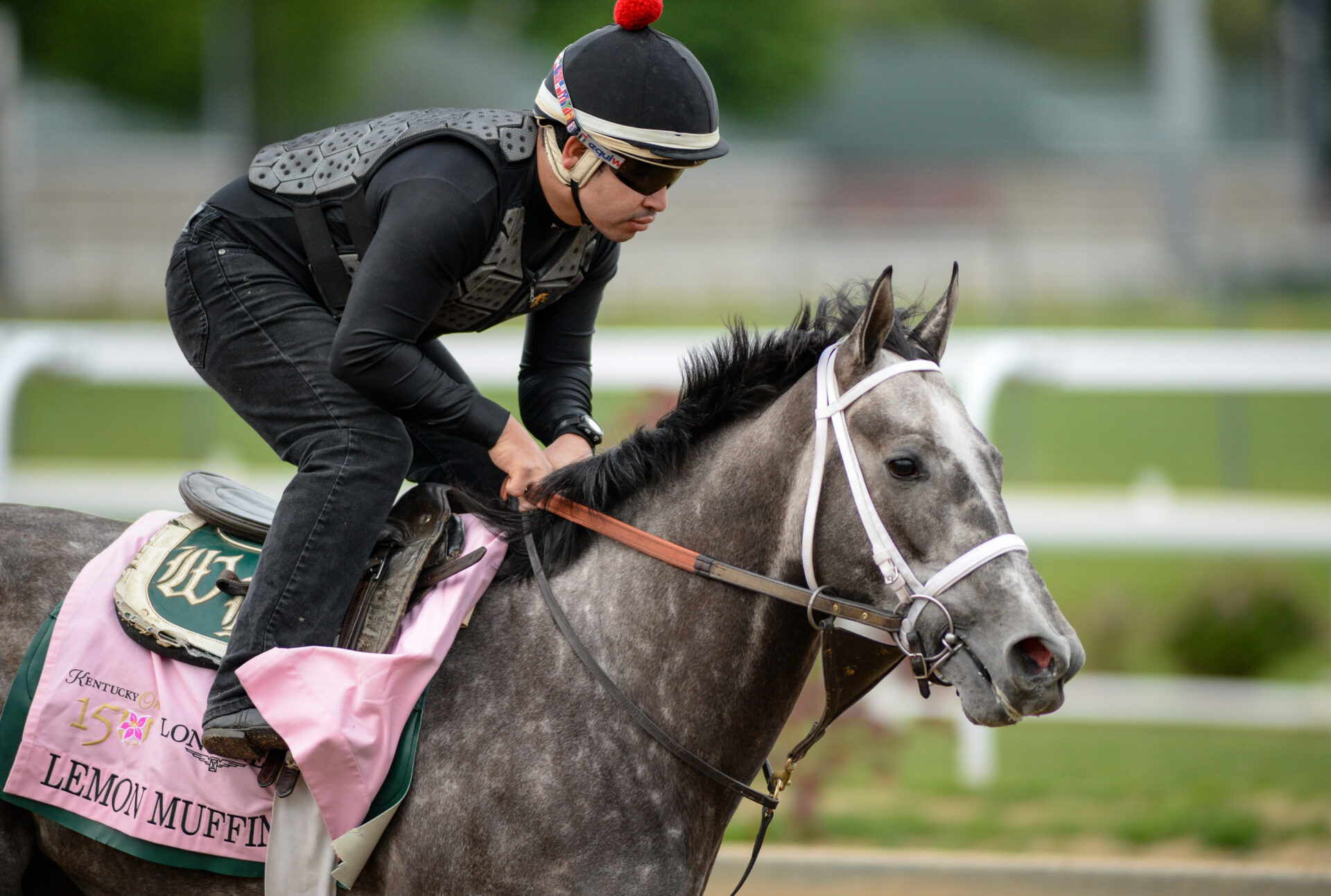 BlackEyed Susan Picks 2024 Pimlico