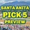 Santa Anita Park Pick 5 Preview | The Magic Mike Show 550