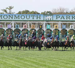 Monmouth Park Picks | Goldwood Stakes 2024