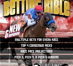 Preakness Stakes 2024 Betting Bible | Get Pimlico Picks NOW!