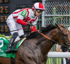 Pegasus World Cup Turf Picks and Preview 2026 | Program Trading Looks Strong