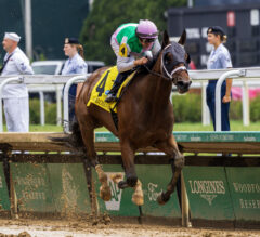 Belmont At Saratoga Picks | Ogden Phipps Stakes 2024