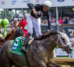 Preakness Stakes News | Seize The Grey “Strongly” Under Consideration