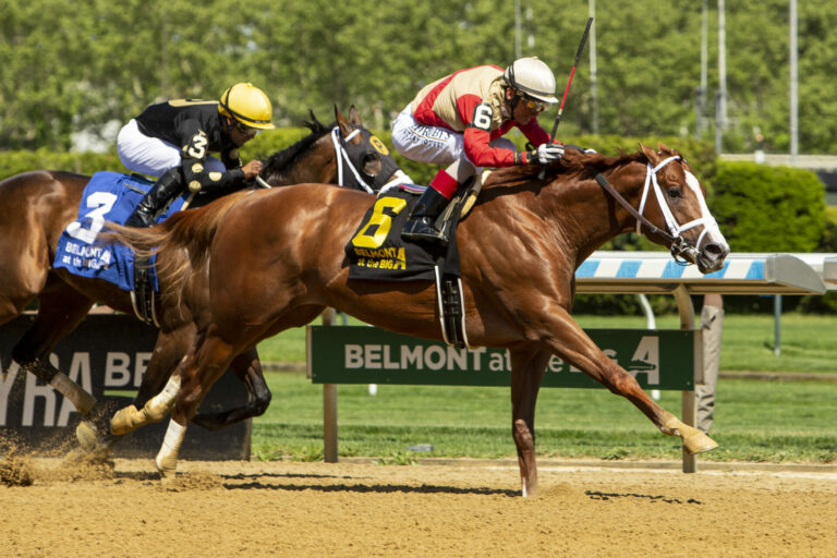 Horse Racing Stakes Schedule - Racing Dudes