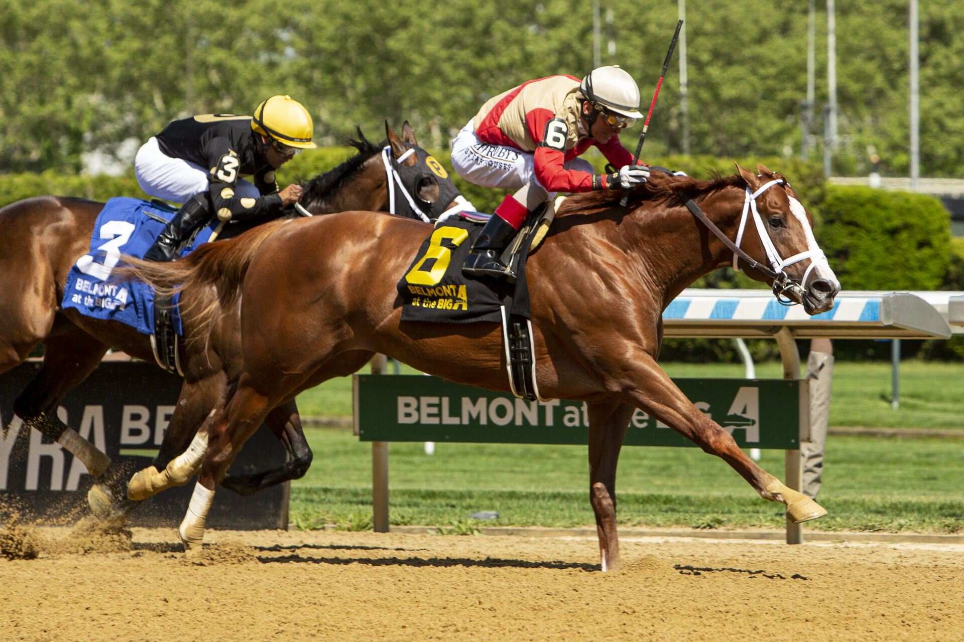 Peter Pan Stakes 2024 Replay Antiquarian Wins Belmont Prep