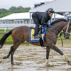 Preakness Stakes News | Catching Freedom Has “Really Good Gallop”