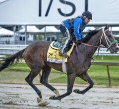 Preakness Stakes News | Losing Muth Unlikely To Affect Lukas Pair