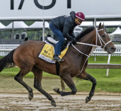 Preakness Stakes News | Uncle Heavy Named For Trainer’s Brother