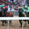 Preakness Stakes Trifecta Picks & Plays