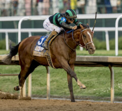 Malibu Stakes Picks and Preview 2024