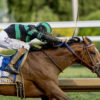 Preakness Stakes News | Kentucky Derby Winner Mystik Dan Confirmed for Preakness 149