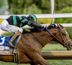 Preakness Stakes News | Kentucky Derby Winner Mystik Dan Confirmed for Preakness 149