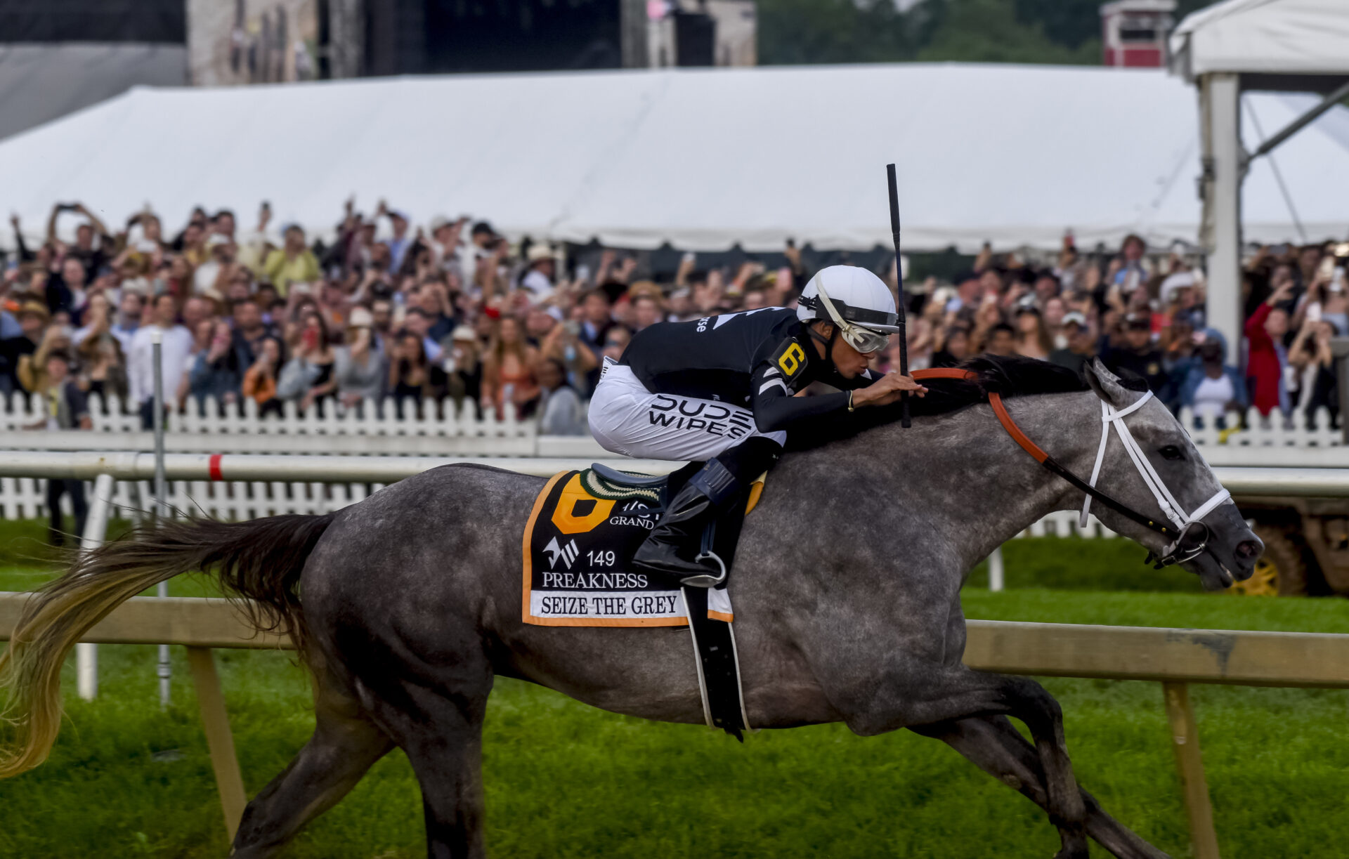 Preakness Stakes 2025 Replay Seize The Grey Wins All The Way