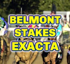 Belmont Stakes 2024 Exacta Picks & Plays