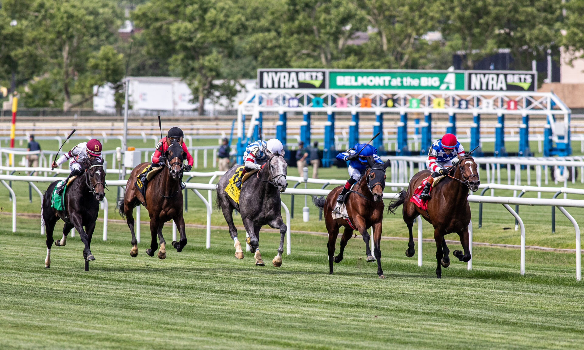 Belmont At The Big A Picks Cupecoy's Joy Stakes 2024