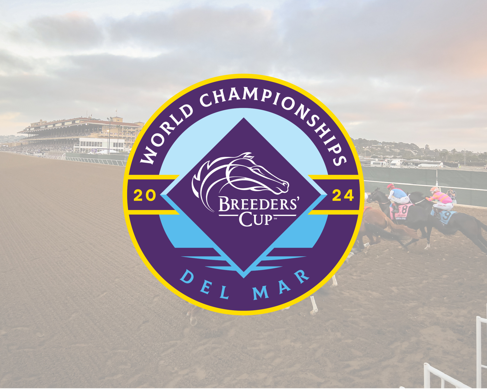 2024 Breeders' Cup Picks, Betting, Contenders and Results