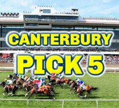 Canterbury Park Pick 5 Preview | The Magic Mike Show 554