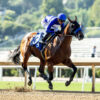 Top Horses To Watch For The Rest Of 2024
