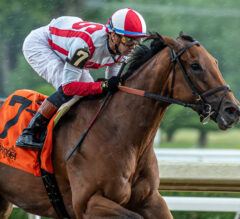 Saratoga Picks | Test Stakes 2024