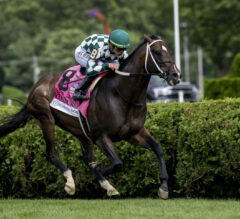 Saratoga Picks | Troy Stakes 2024