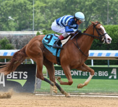 Saratoga Picks | Schuylerville Stakes 2024