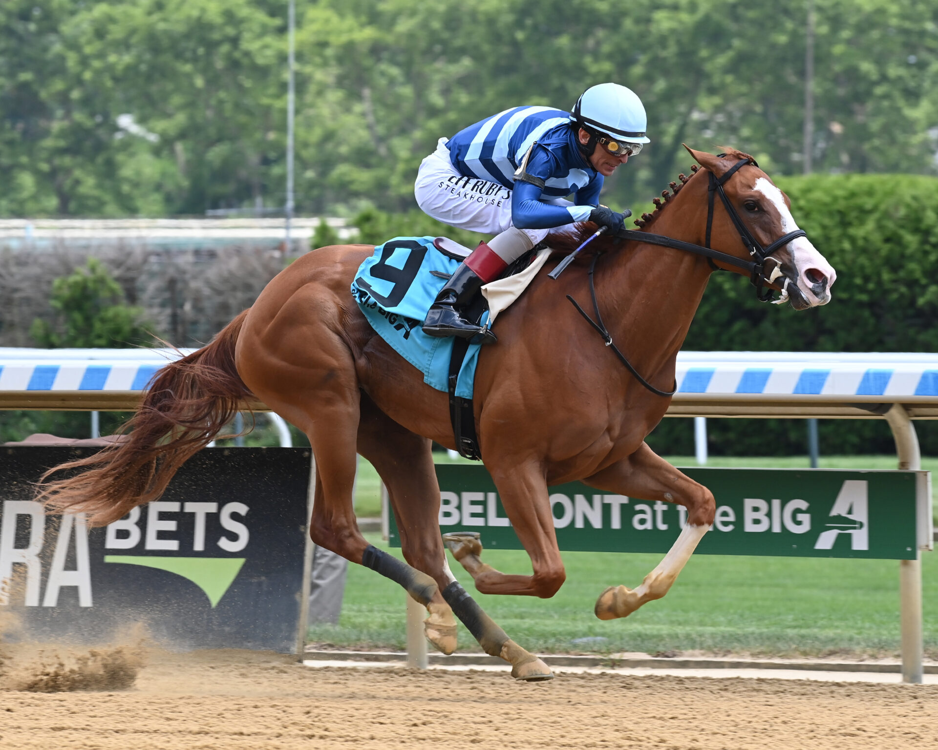 Saratoga Picks Schuylerville Stakes 2024