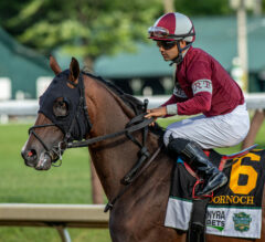 Saratoga Picks | Travers Stakes 2024