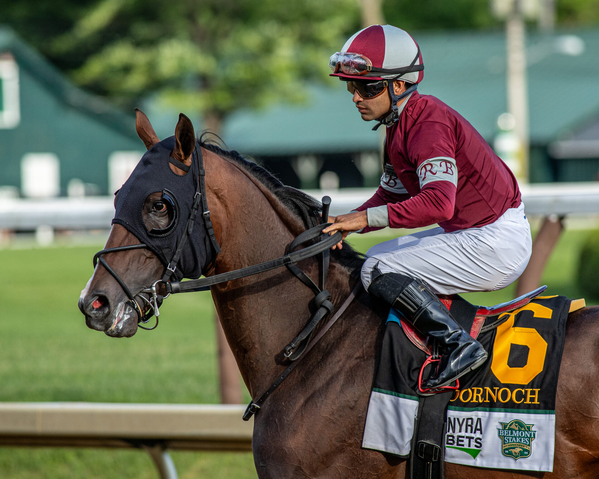 Saratoga Picks Travers Stakes 2024