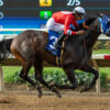 Bing Crosby Stakes 2025 Picks and Preview | Breeders’ Cup Win and You’re In Race