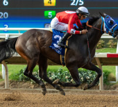 Bing Crosby Stakes 2025 Picks and Preview | Breeders’ Cup Win and You’re In Race
