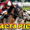 Haskell Stakes Exacta Picks & Plays | Monmouth Park 2024