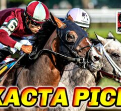 Haskell Stakes Exacta Picks & Plays | Monmouth Park 2024