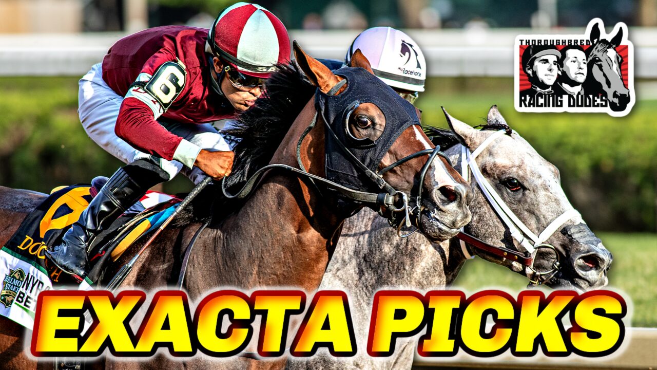 Haskell Stakes Exacta Picks & Plays Monmouth Park 2024