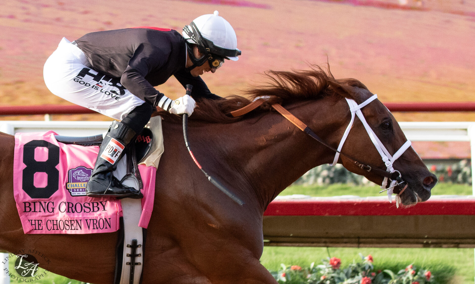 Del Mar Picks Pat O'Brien Stakes 2024 [Breeders' Cup Dirt Mile]