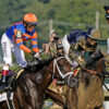 Breeders’ Cup Classic 2024 Preview