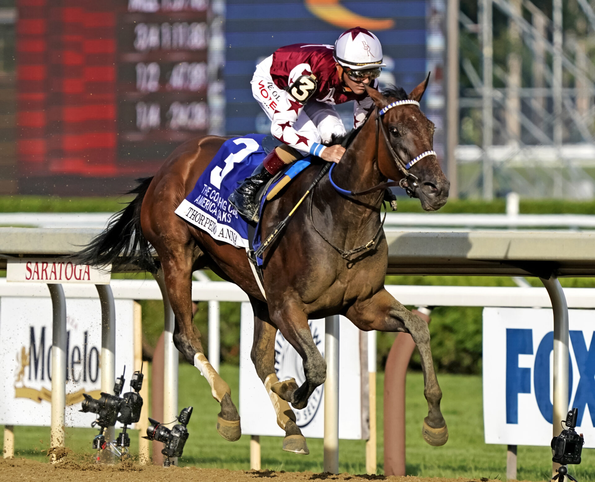 Breeders' Cup Distaff 2024 Early Preview Racing Dudes