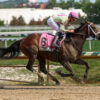 Racing Dudes Premium Picks CRUSH at Laurel Park 10/12/24