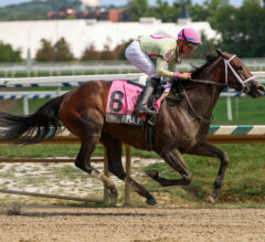 Racing Dudes Premium Picks CRUSH at Laurel Park 10/12/24