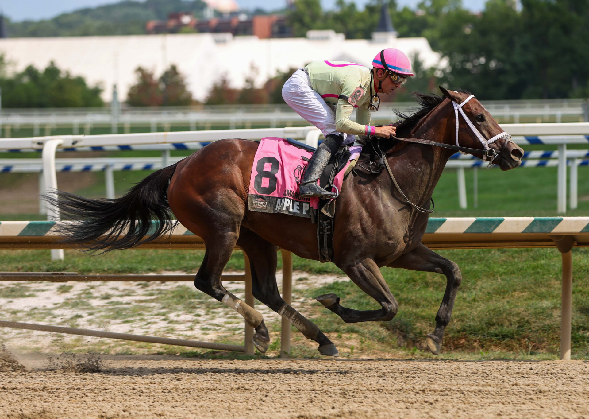 Racing Dudes Premium Picks CRUSH at Laurel Park 10/18/24 Racing Dudes