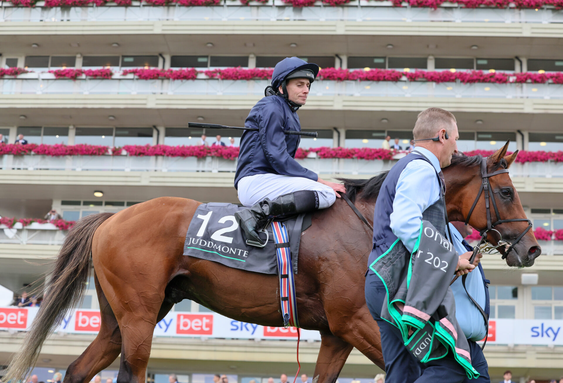 Breeders’ Cup Classic 2024 Early Preview – Racing Dudes