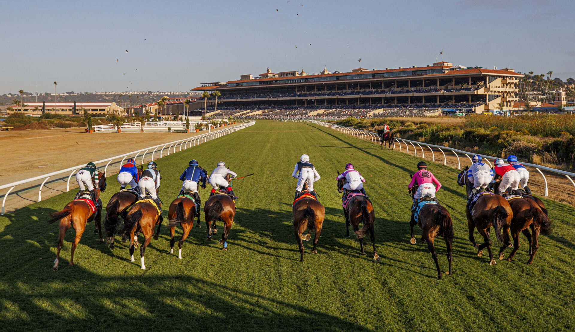 Del Mar FREE Win Picks August 23, 2024