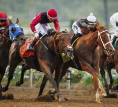 Del Mar FREE Win Picks | August 17, 2024