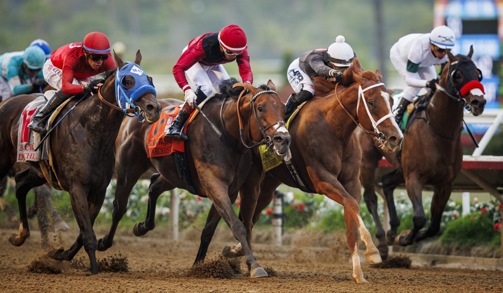 Del Mar FREE Win Picks August 24 2024 Del Mar FREE Win Picks August 24 2024