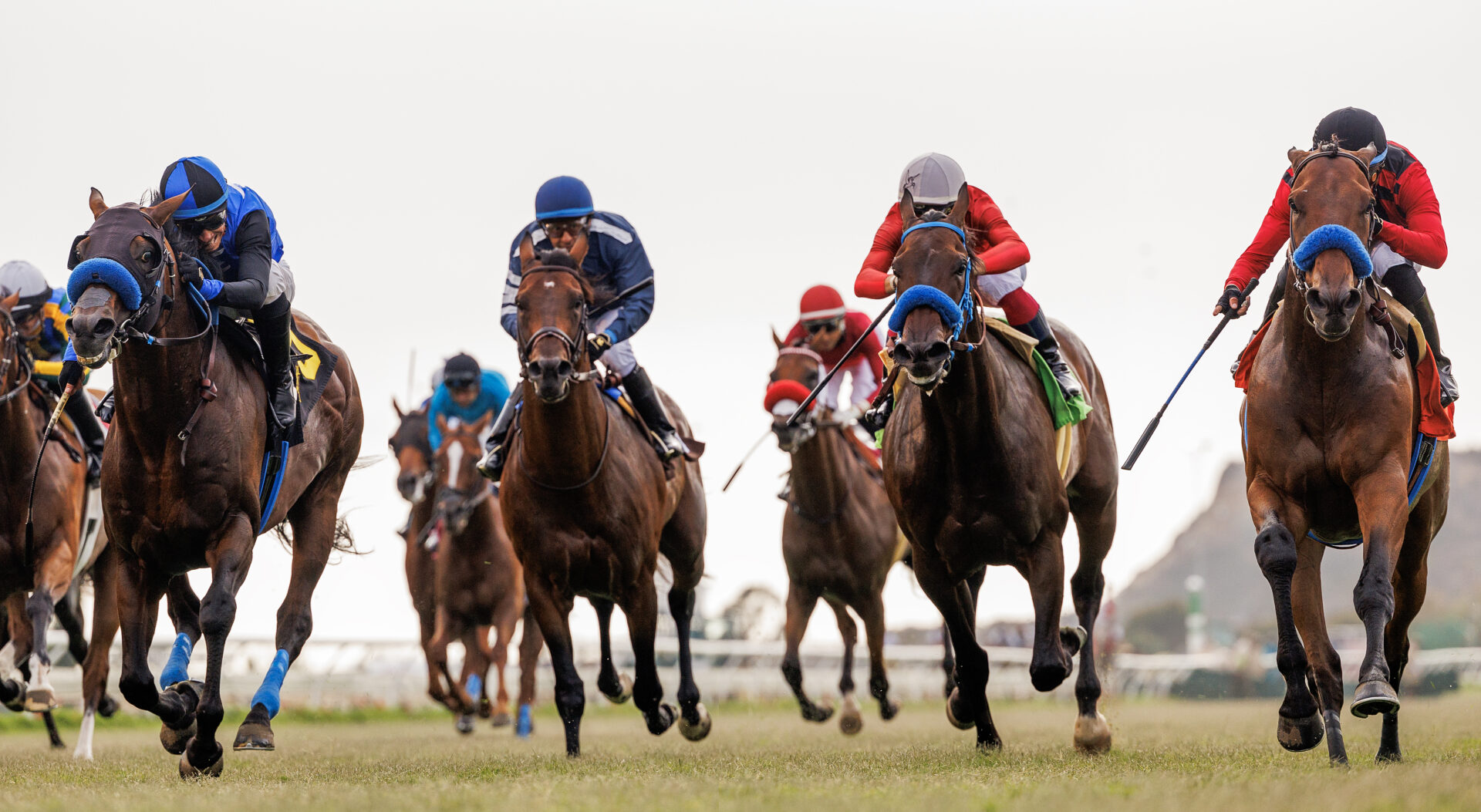 Del Mar FREE Win Picks August 25 2024 Del Mar FREE Win Picks August 25 2024