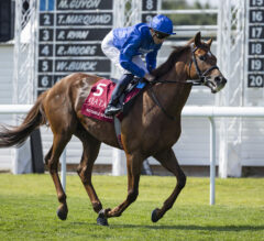Breeders’ Cup 2025 Latest News & Update | Juvenile Divisions Heating Up