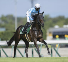 Which Horses Stand the Best Chance ofDelivering Willie Mullins a Famous GrandNational Three-Peat?