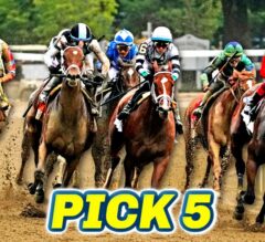 Saratoga Pick 5 Preview | The Magic Mike Show 563