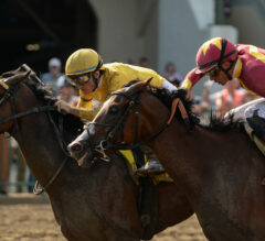 How Artificial Intelligence Is Changing the Way We Predict Horse Racing Results