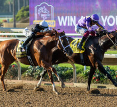 Del Mar FREE Win Picks | September 2, 2024