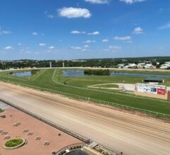 Remington Springboard Mile Picks and Preview 2024